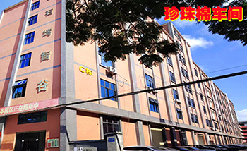 东莞市永升包装制品有限公司发展历程